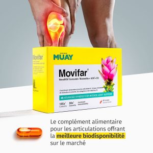Muay movifar